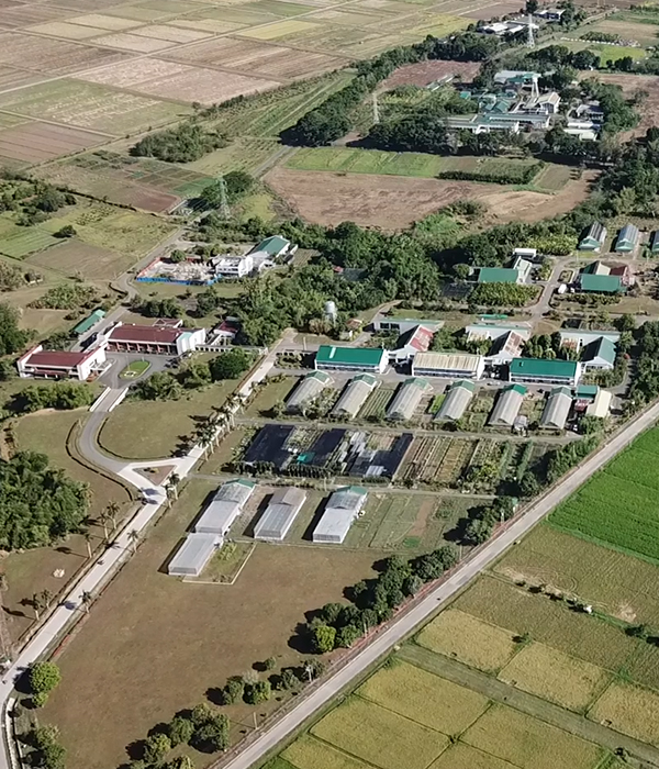 Institute of Plant Breeding