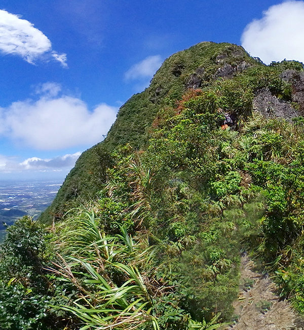 Maria Makiling Trail UPLB