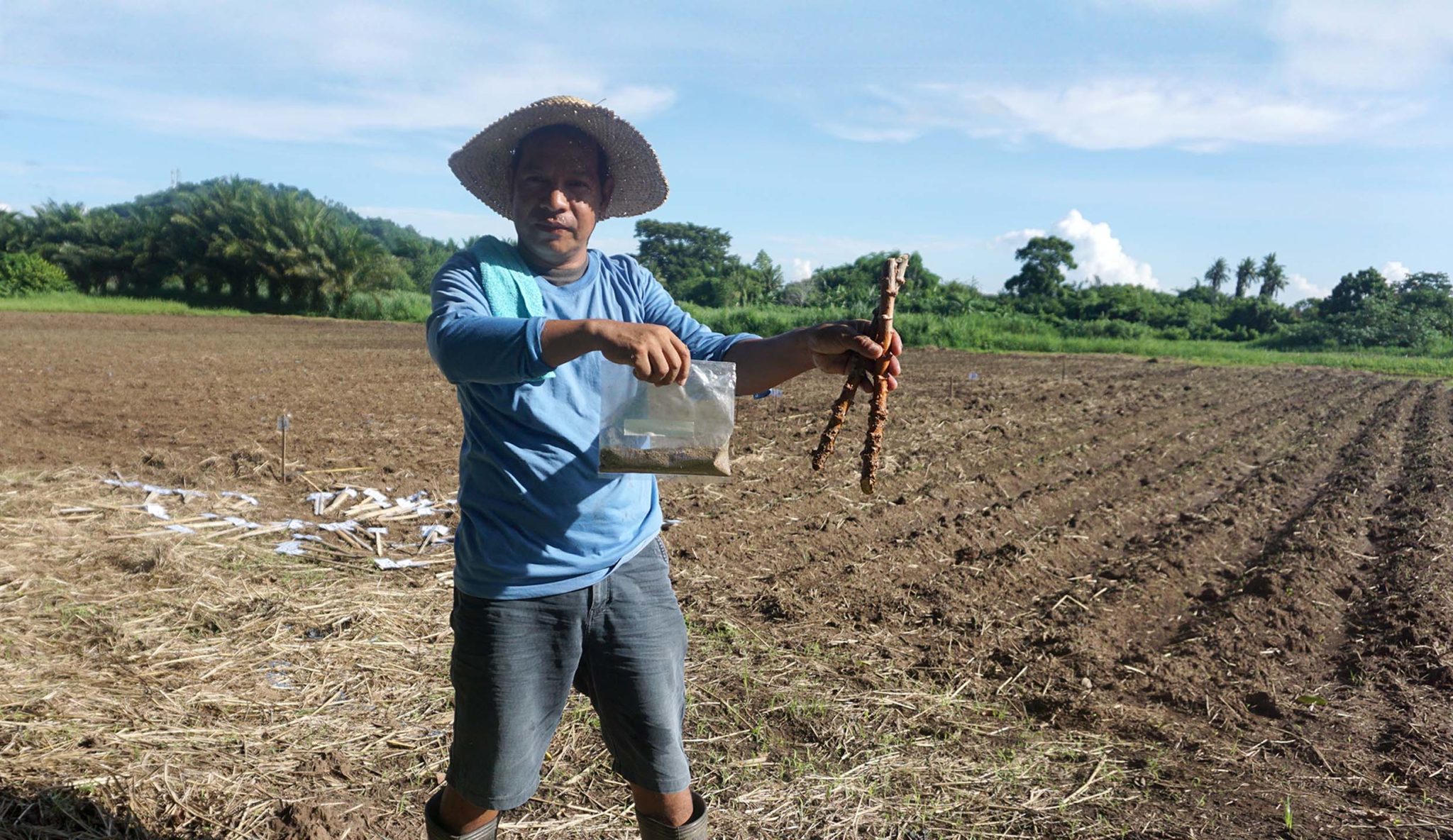 UPLB-BIOTECH biofertilizers and technologies to boost urban agriculture ...