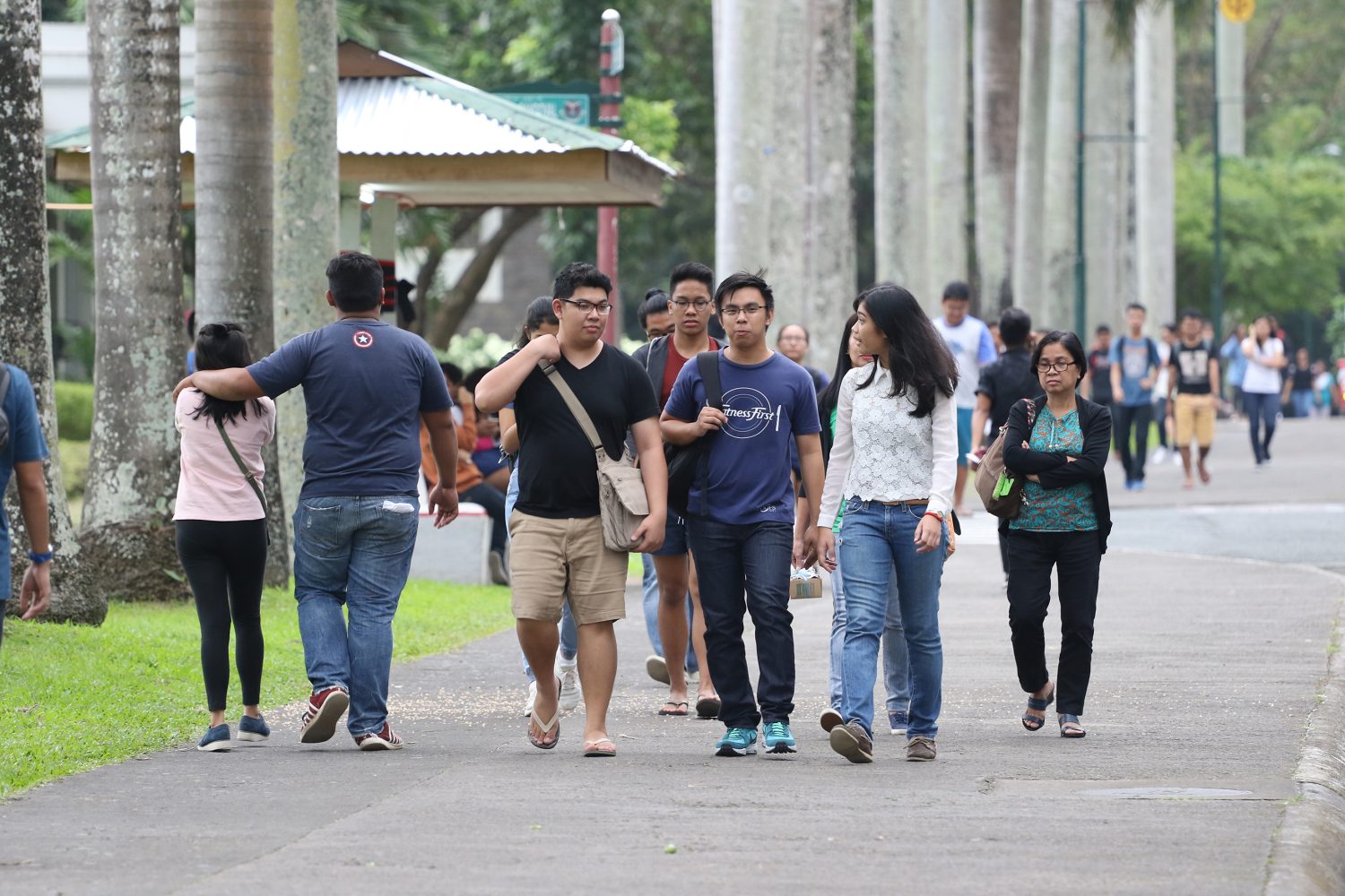 Uplb Uplb At A Glance