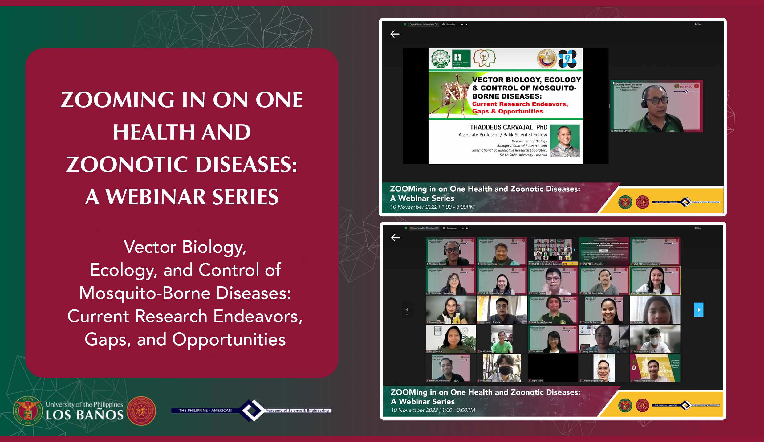 <strong>2<sup>nd</sup> UPLB-PZD, PAASE webinar focuses on mosquito-borne diseases</strong>