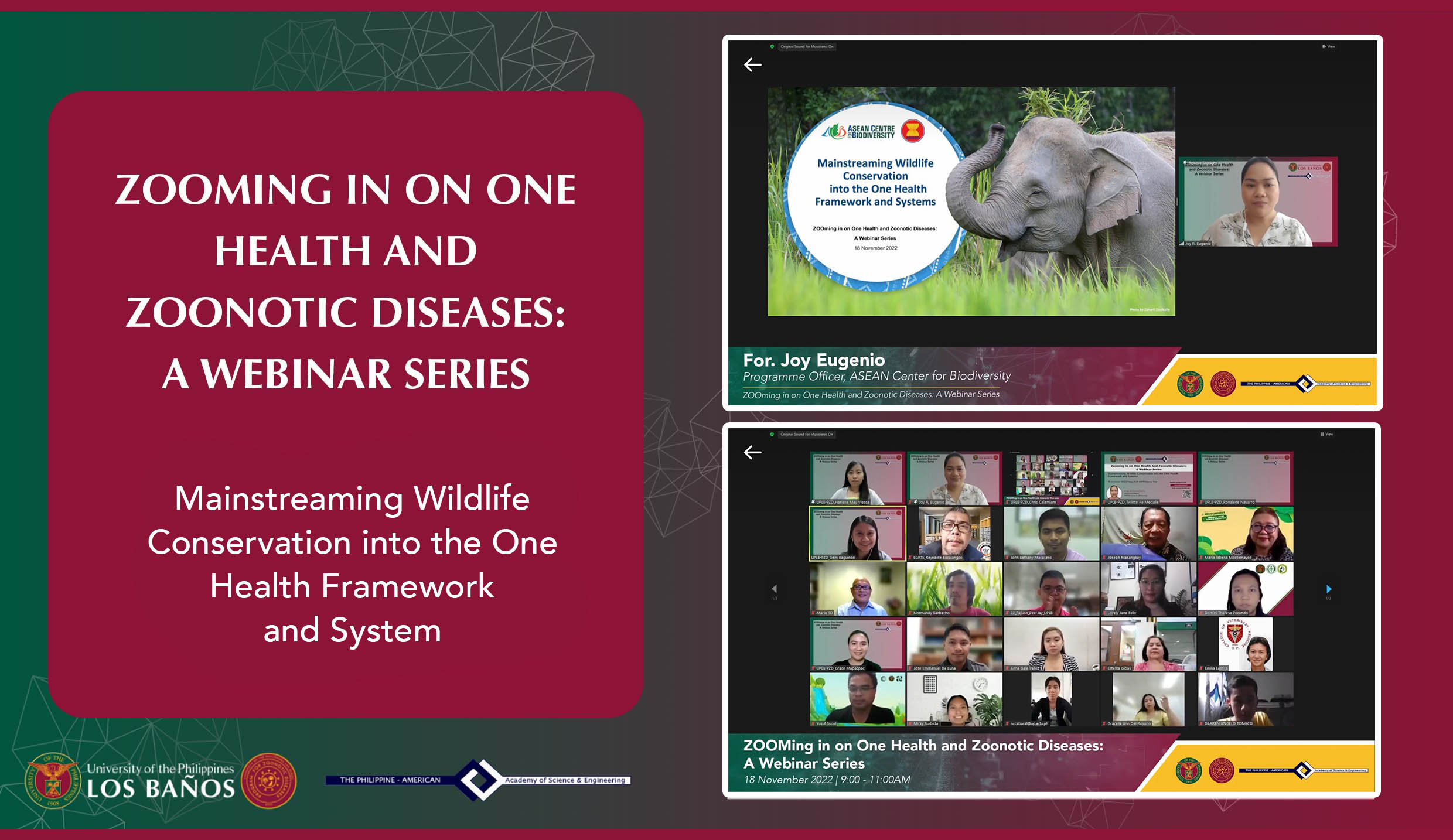 <strong>Biodiversity is the centerpiece of PZD’s 3<sup>rd</sup> webinar</strong>