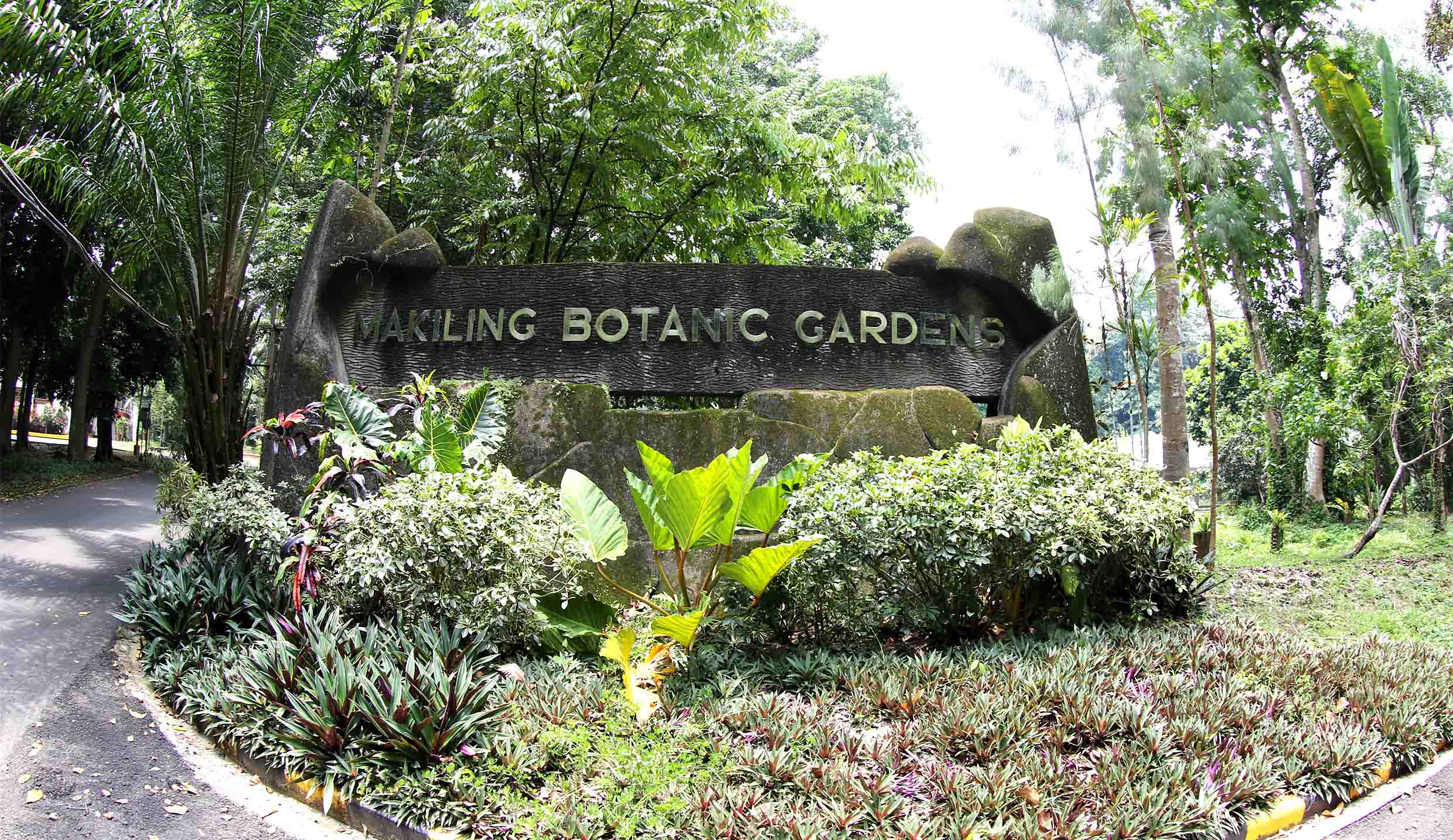 Uplb Botanical Garden Entrance Fee | Fasci Garden